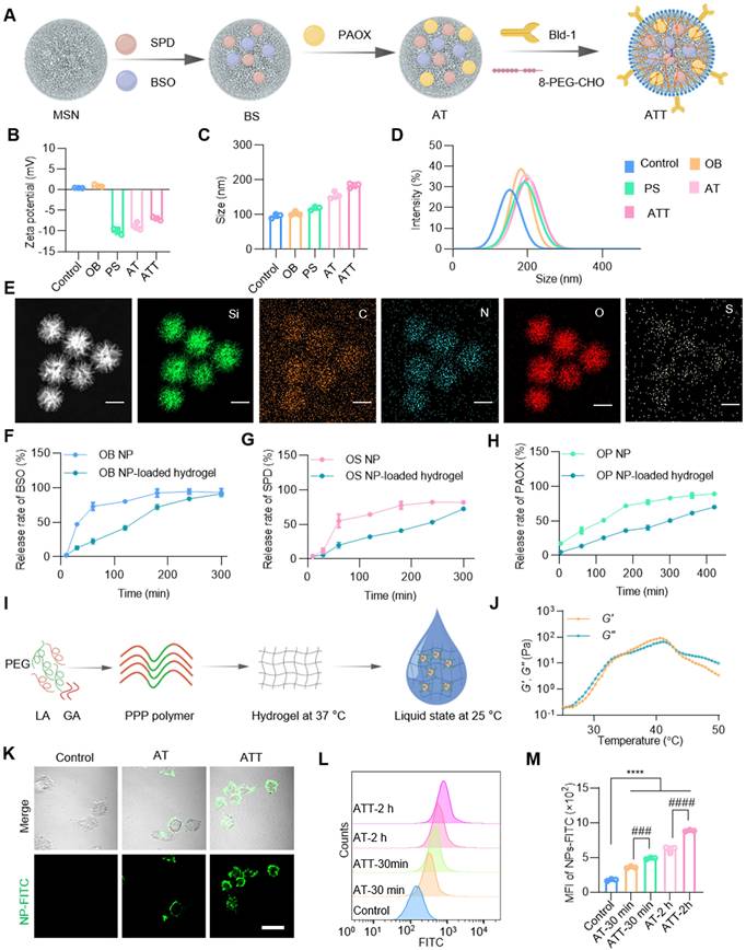 Theranostics Image