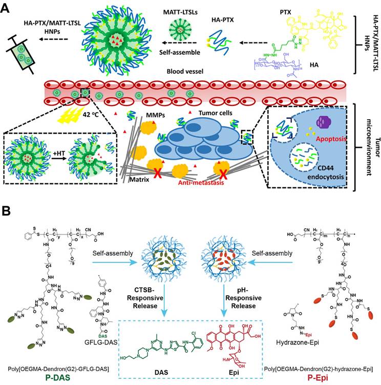Theranostics Image