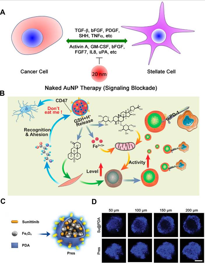 Theranostics Image