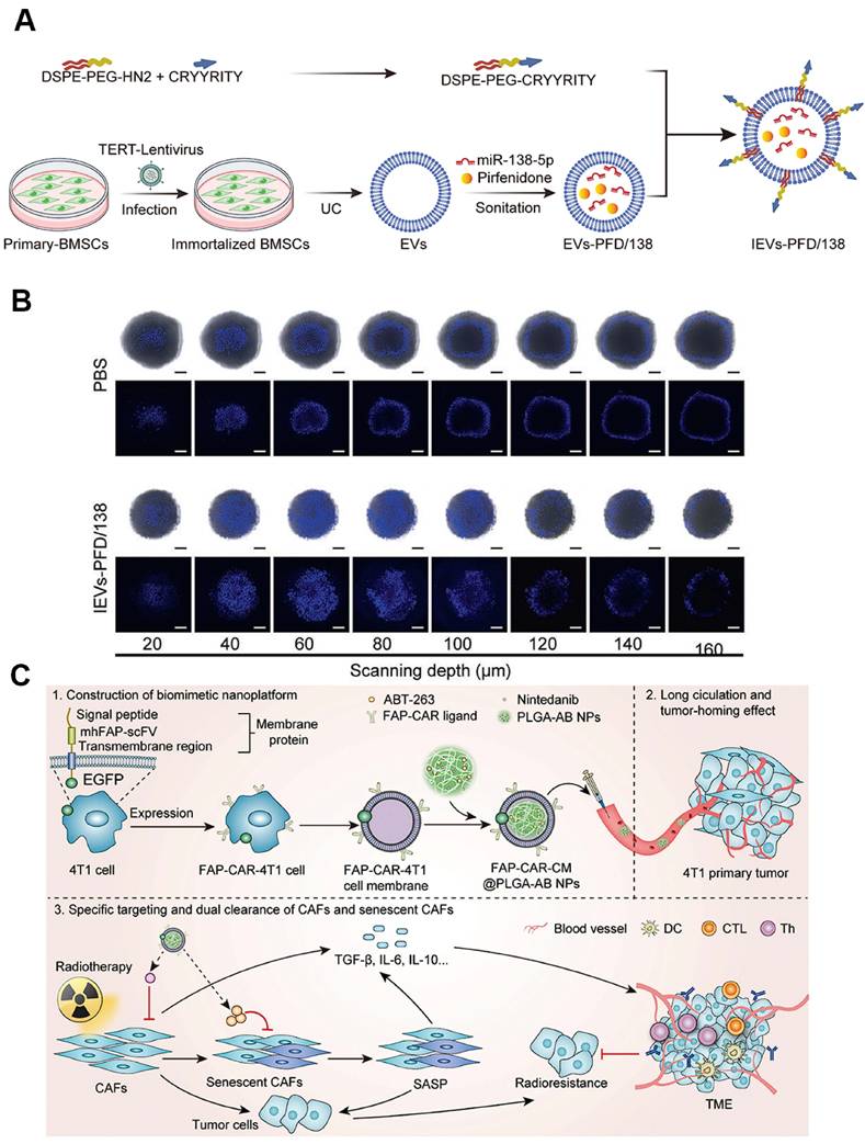 Theranostics Image