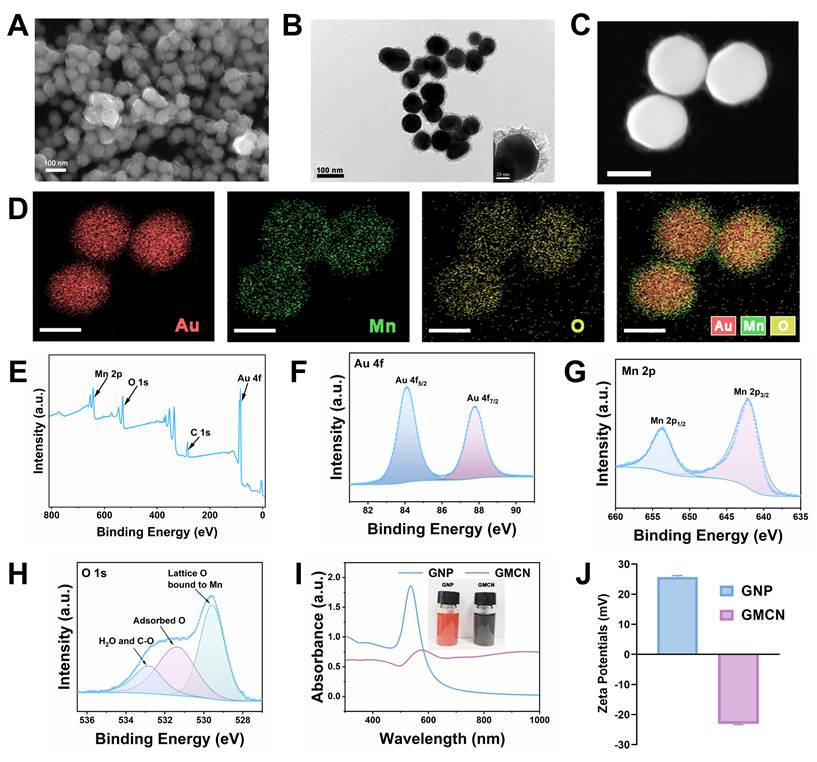 Theranostics Image