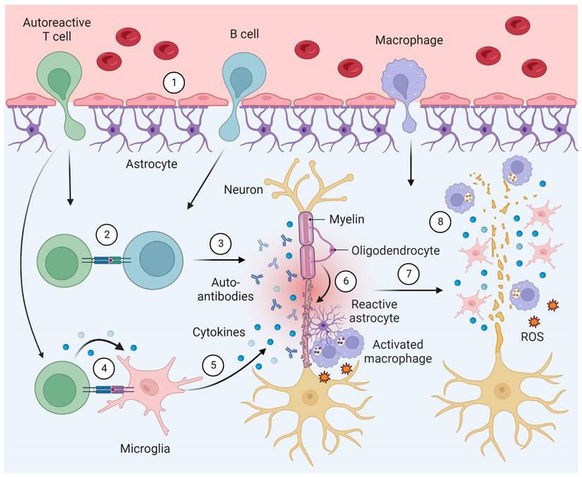 Theranostics Image
