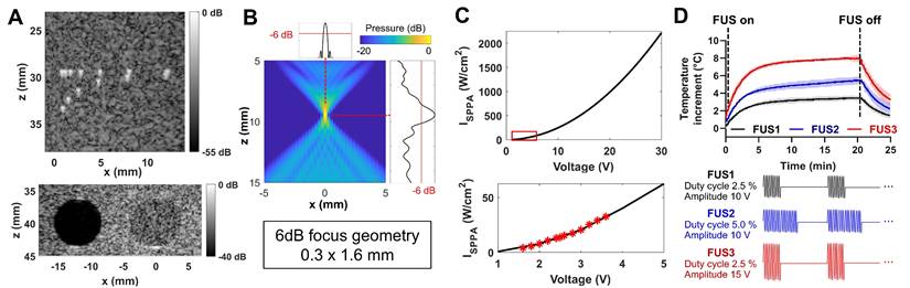 Theranostics Image