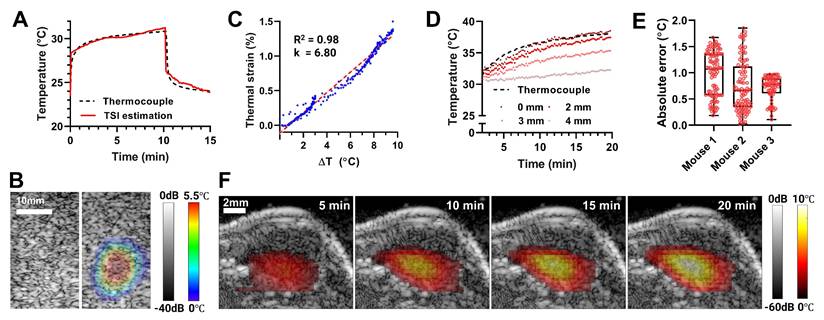 Theranostics Image