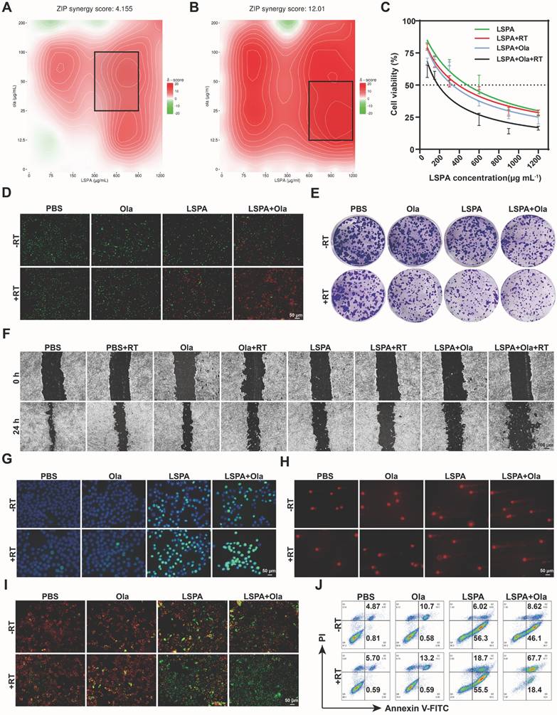 Theranostics Image