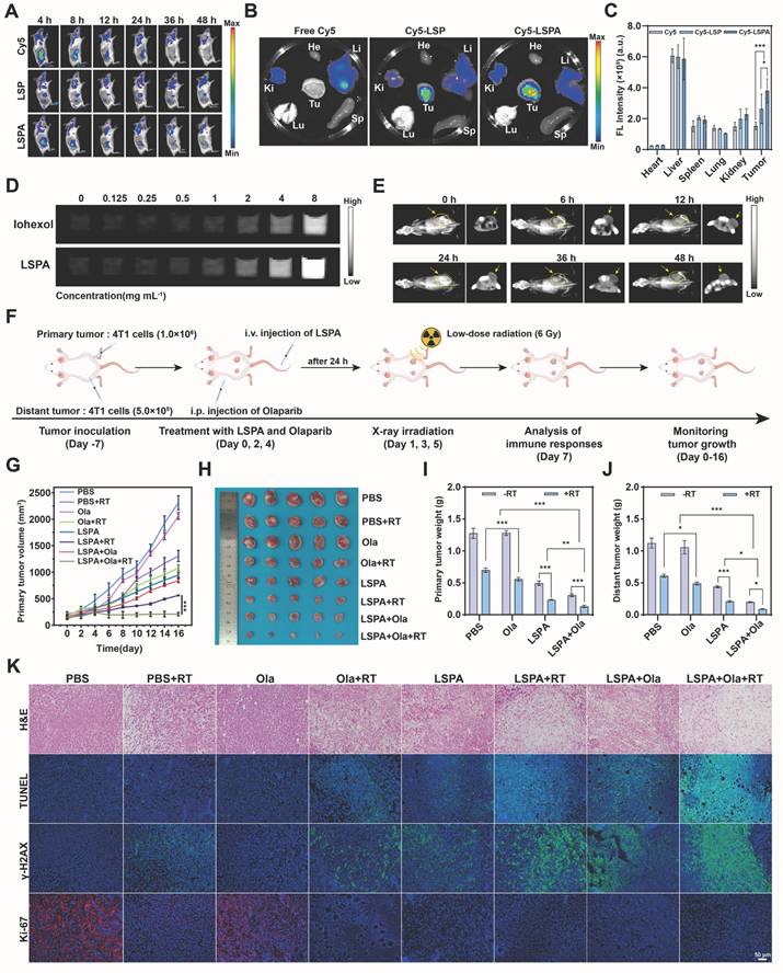 Theranostics Image
