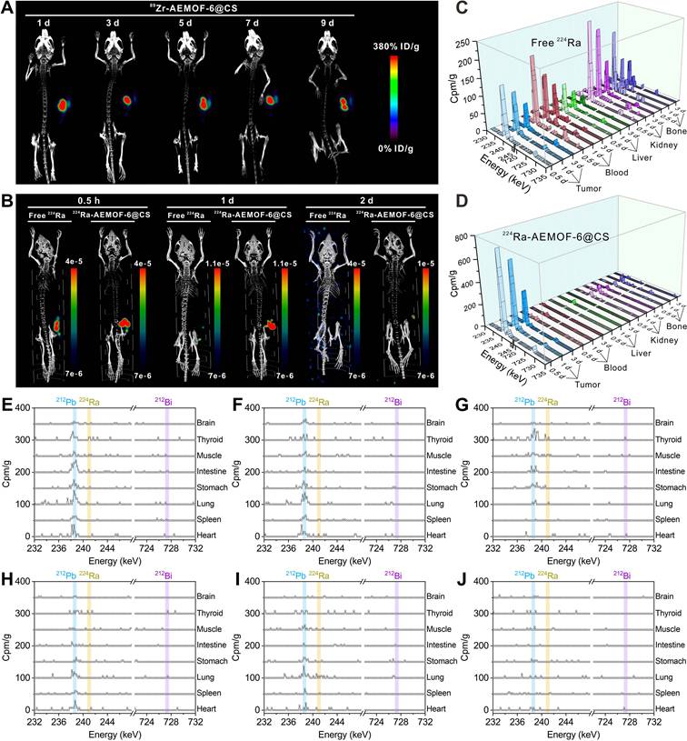 Theranostics Image
