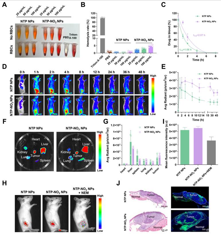 Theranostics Image