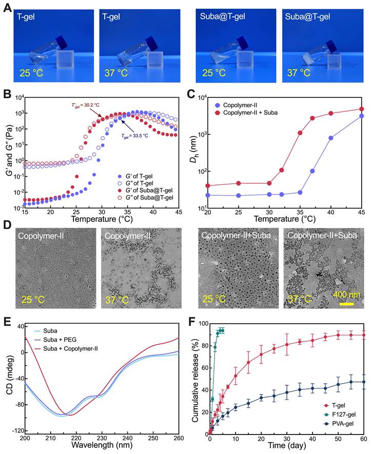Theranostics Image