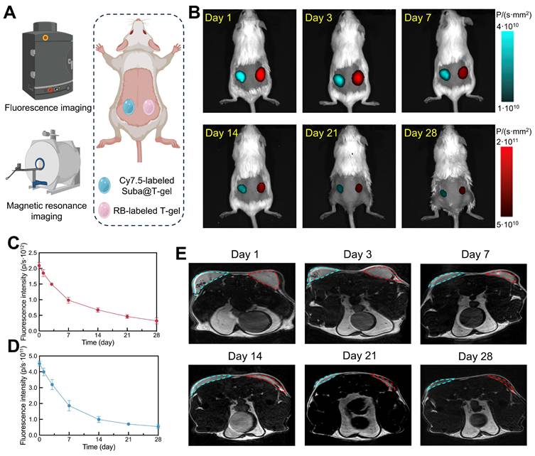 Theranostics Image