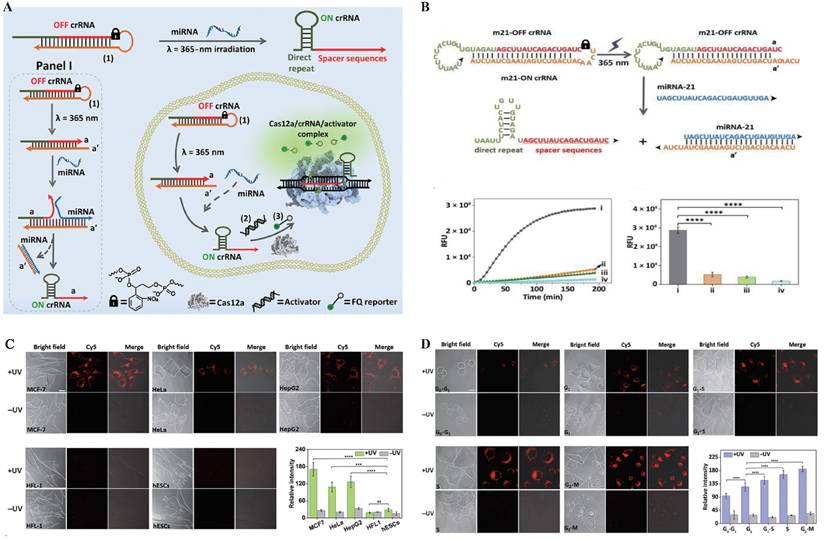 Theranostics Image