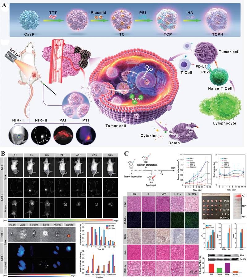 Theranostics Image