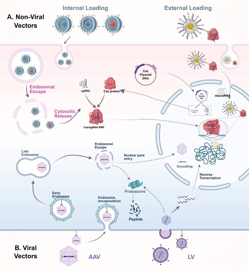 Theranostics Image