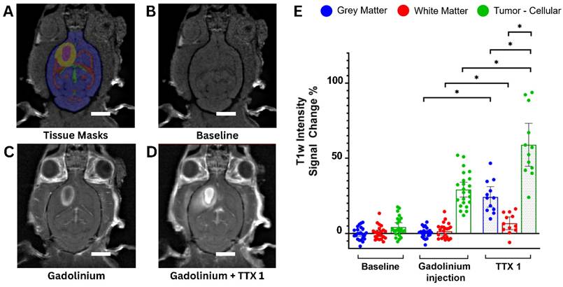 Theranostics Image