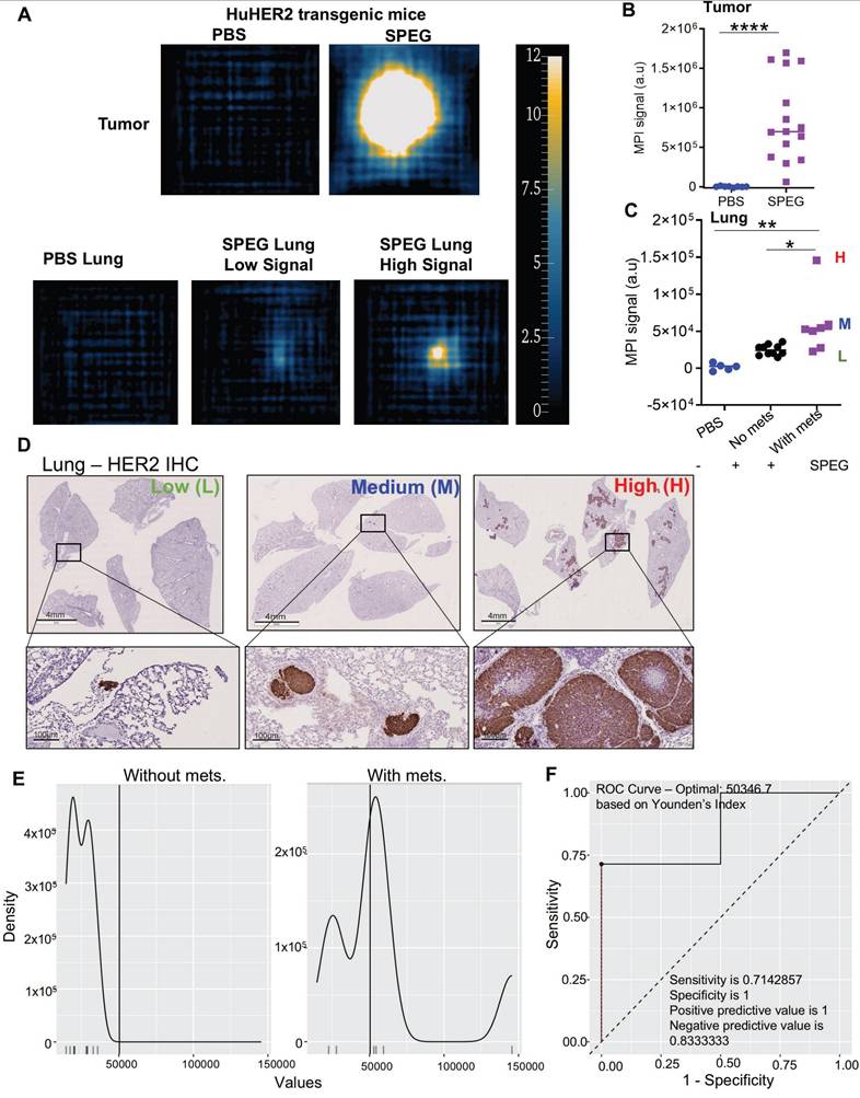 Theranostics Image