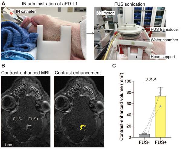 Theranostics Image