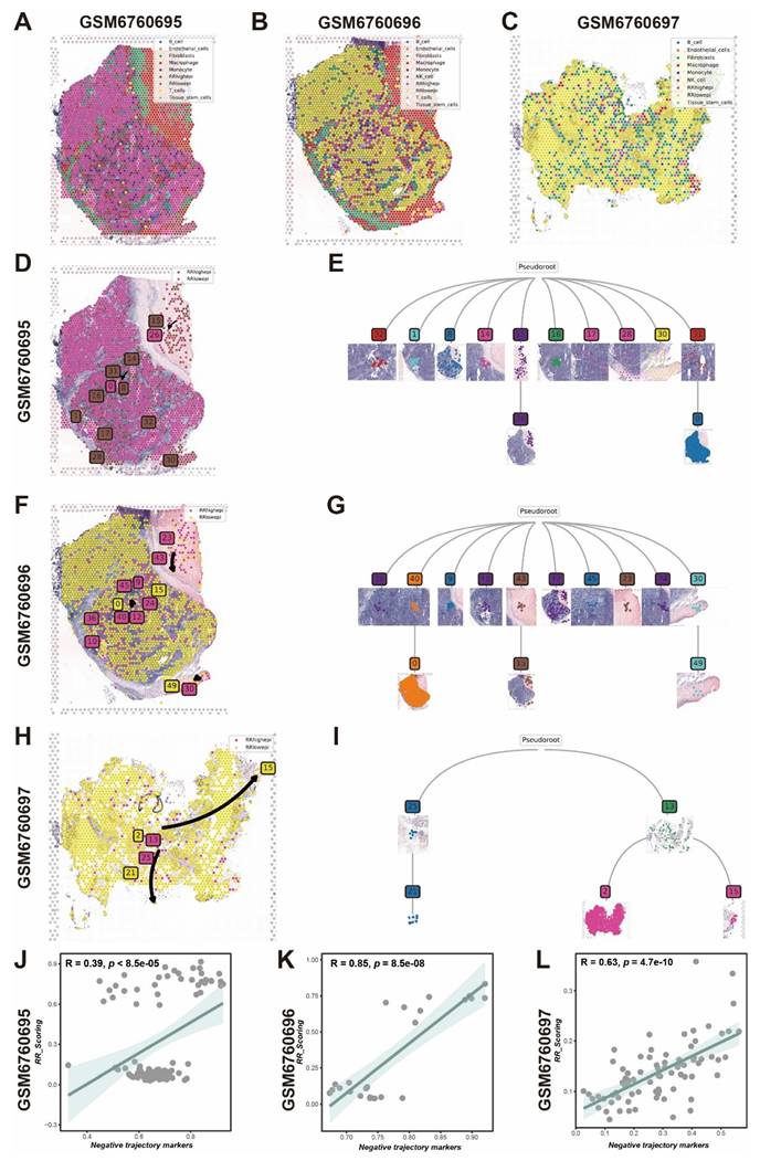 Theranostics Image