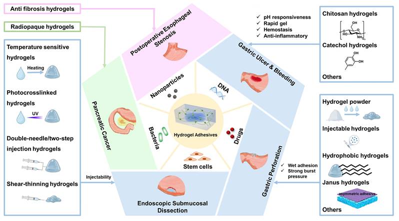 Theranostics Image