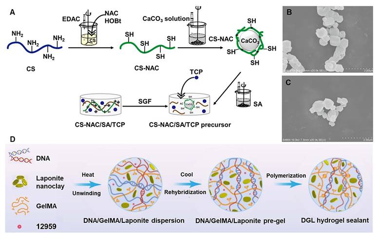 Theranostics Image