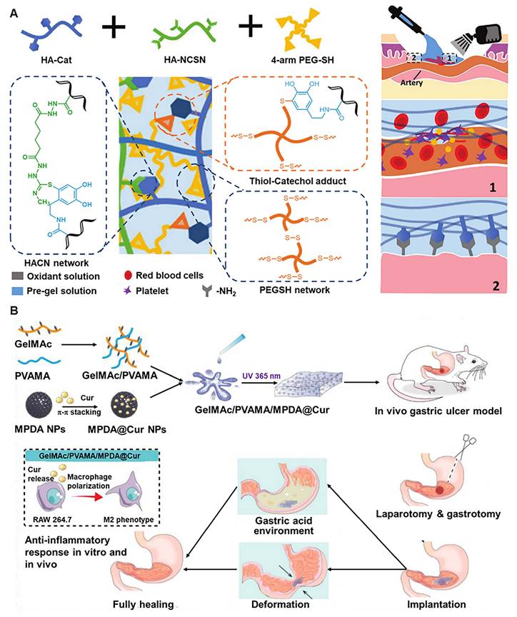 Theranostics Image