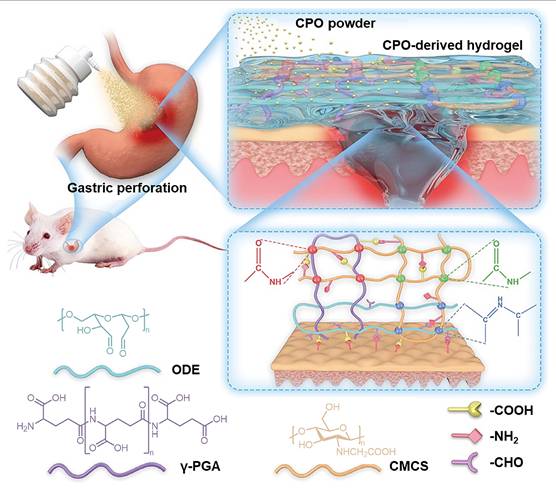 Theranostics Image