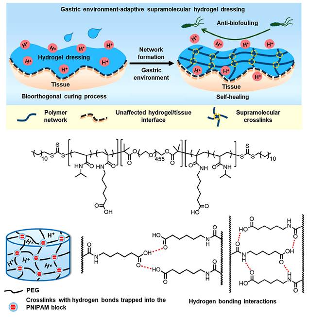 Theranostics Image