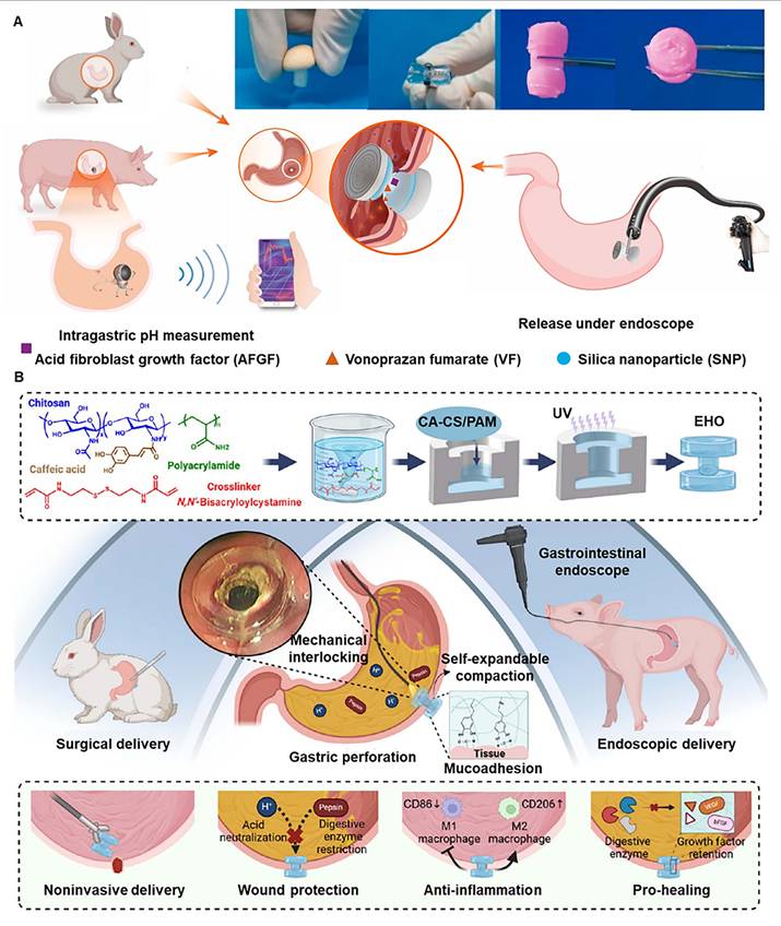 Theranostics Image