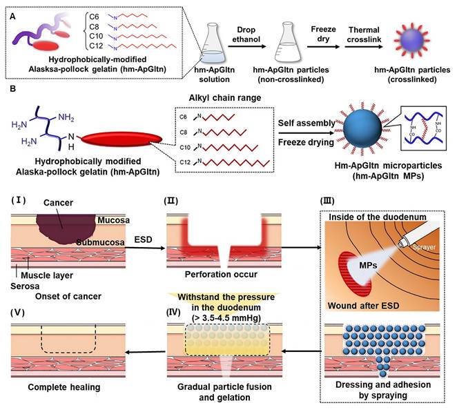 Theranostics Image