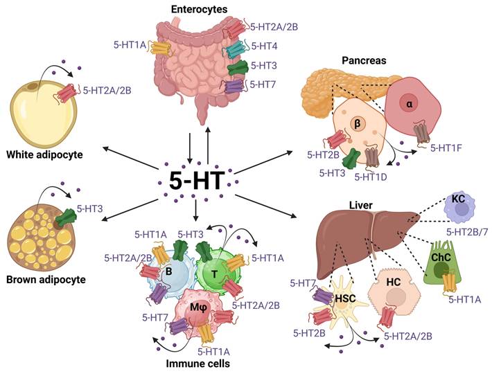 Theranostics Image