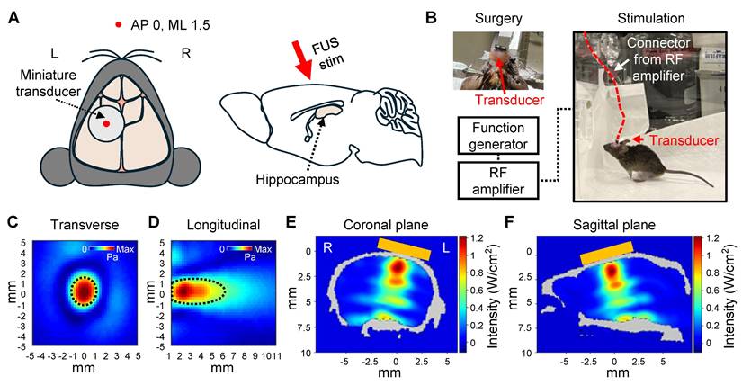 Theranostics Image