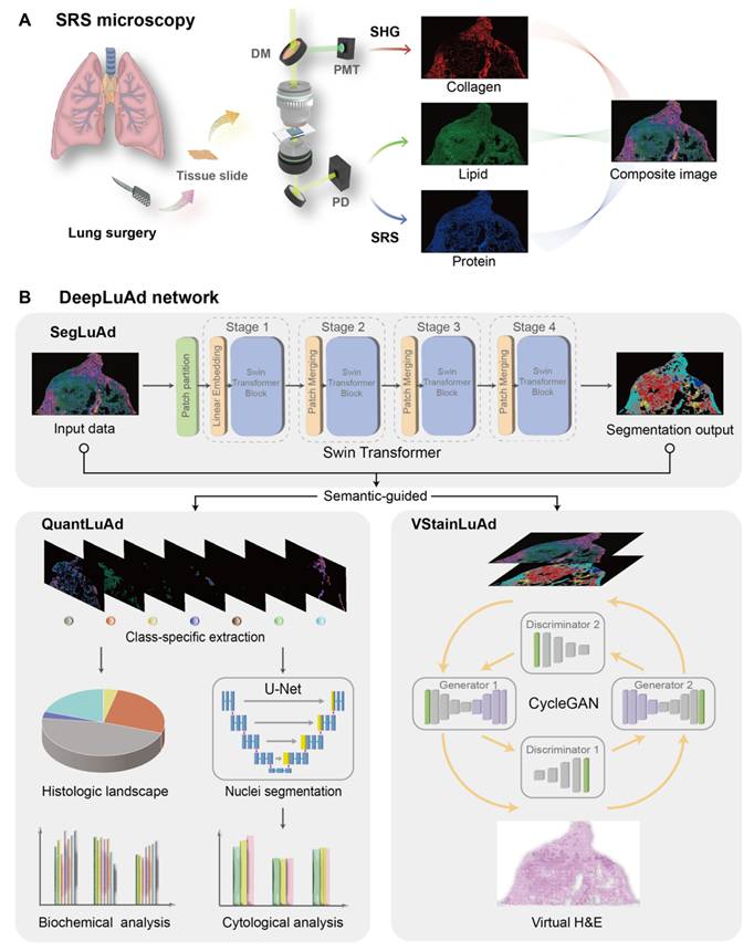 Theranostics Image