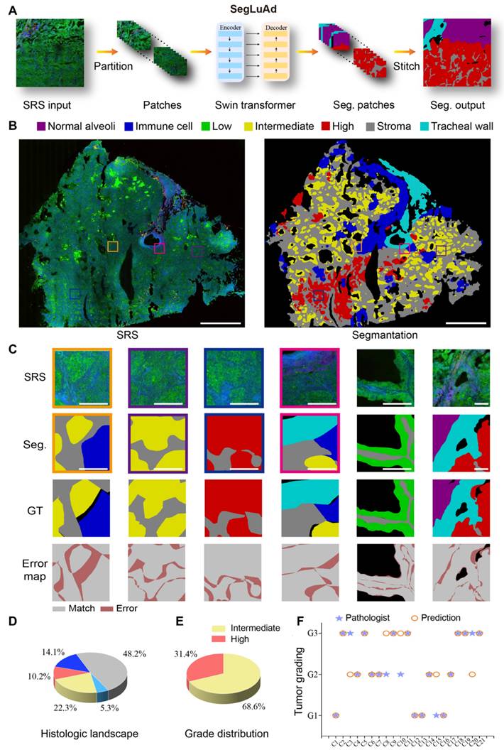 Theranostics Image