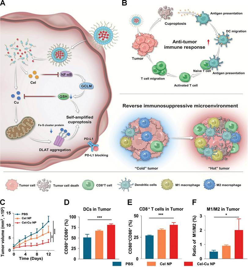 Theranostics Image