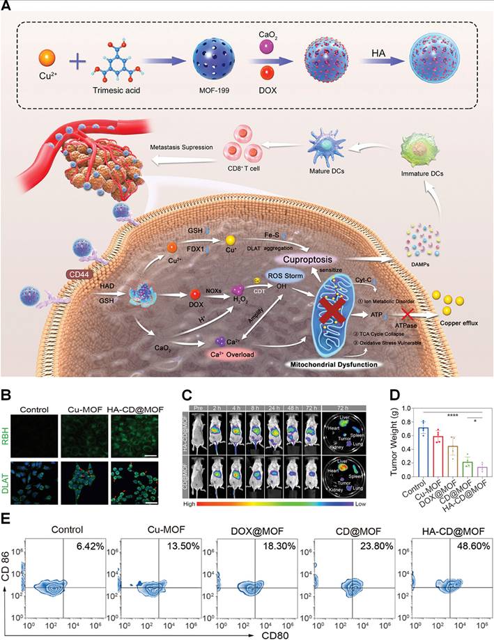 Theranostics Image