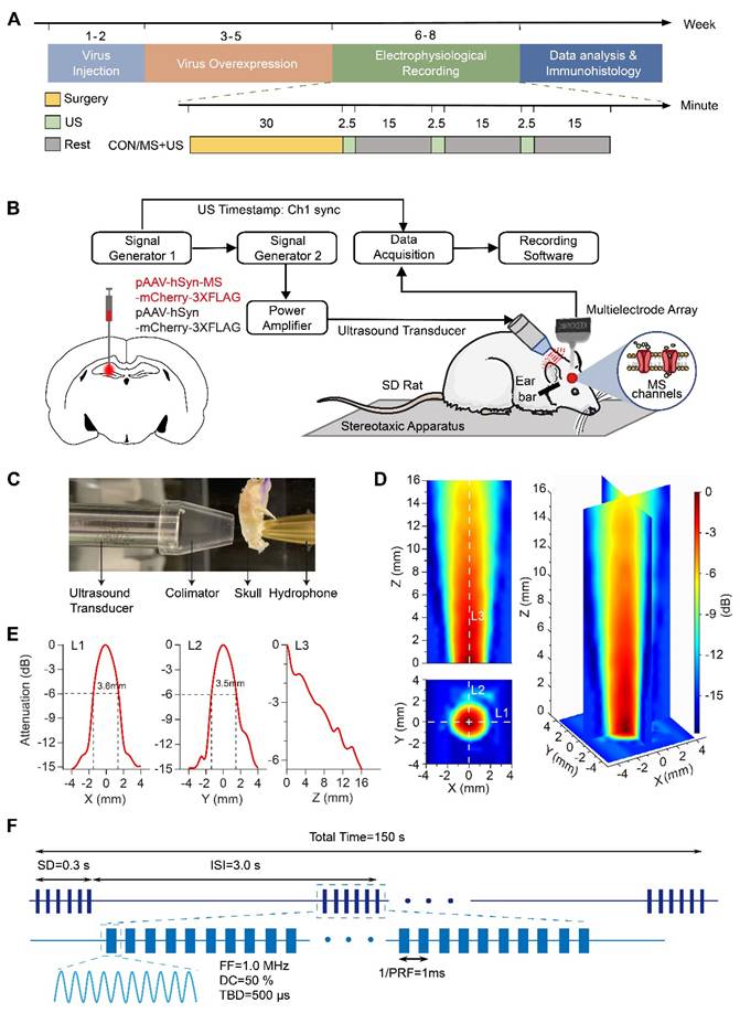 Theranostics Image