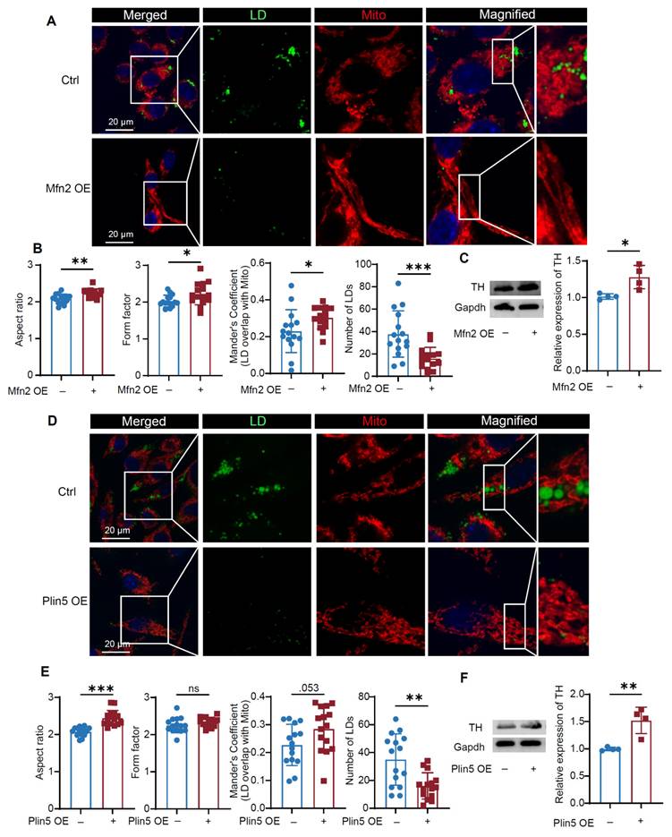 Theranostics Image
