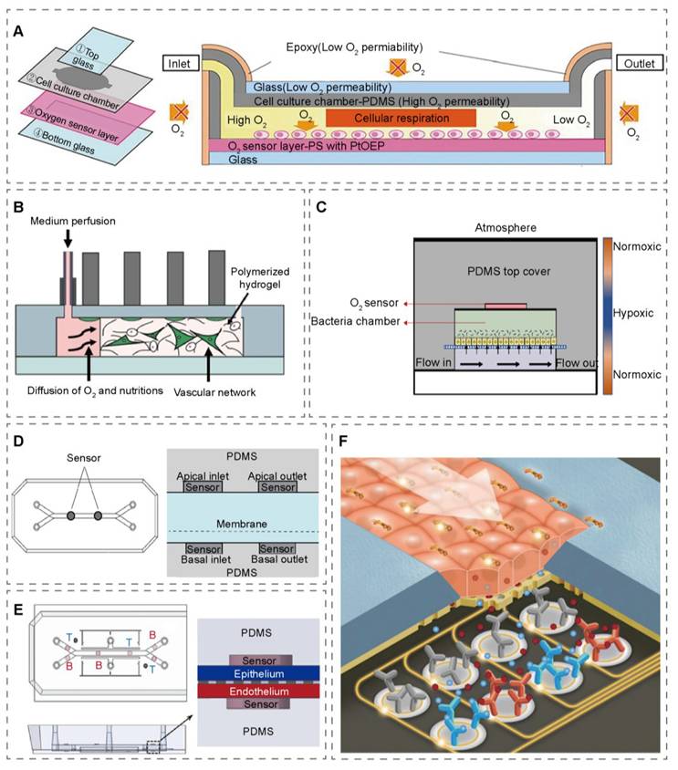 Theranostics Image