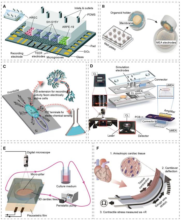 Theranostics Image