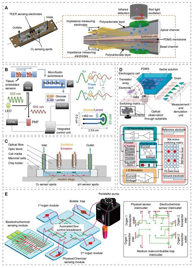Theranostics Image