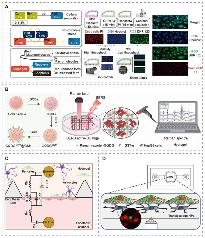 Theranostics Image