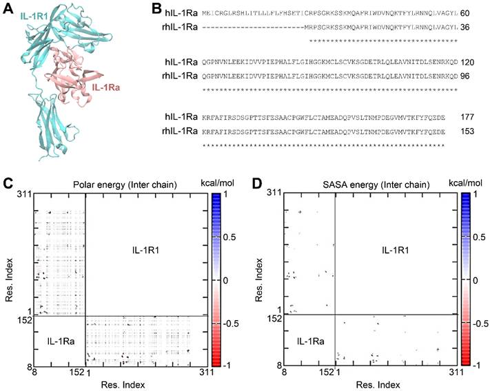 Theranostics Image
