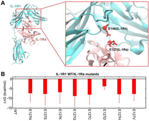 Theranostics Image