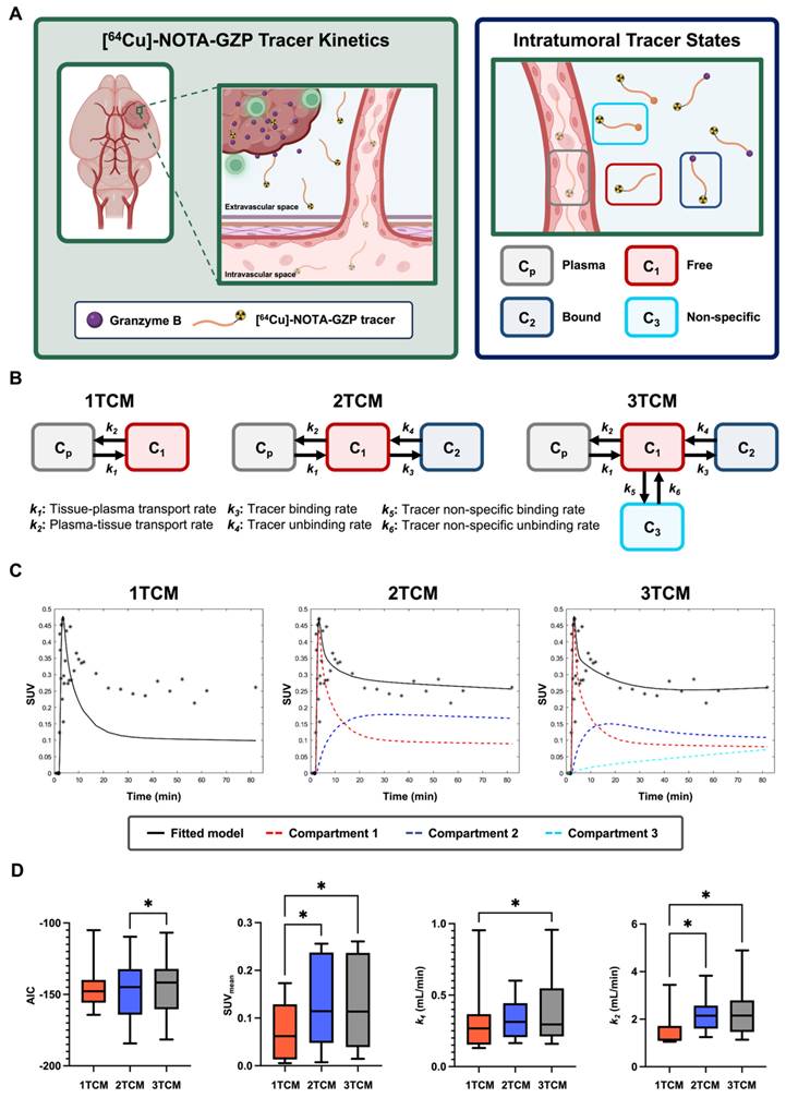 Theranostics Image