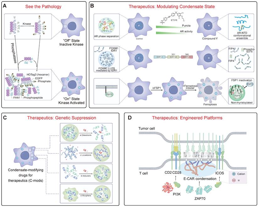 Theranostics Image