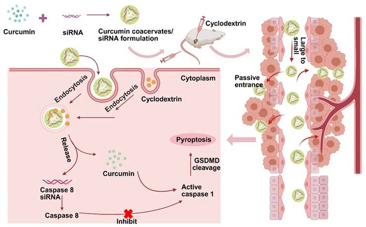 Theranostics Image