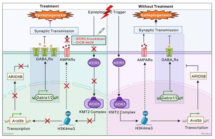 Theranostics Image