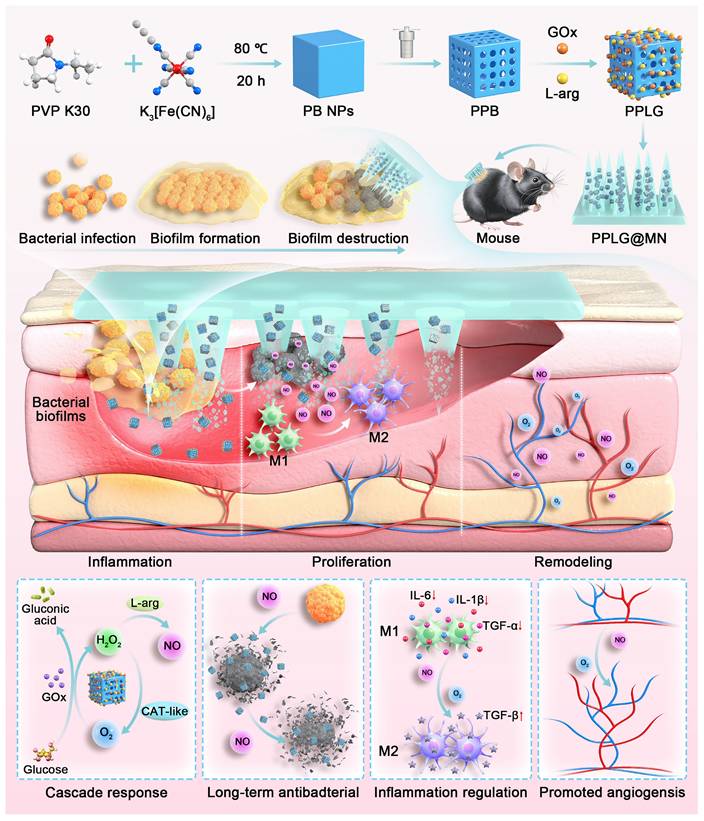 Theranostics Image