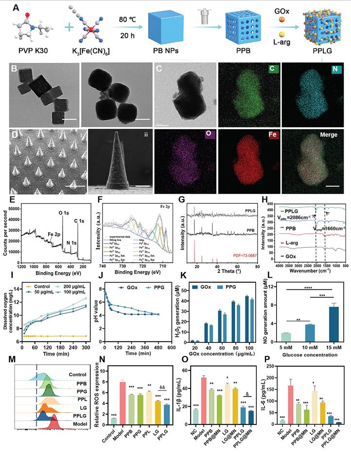 Theranostics Image