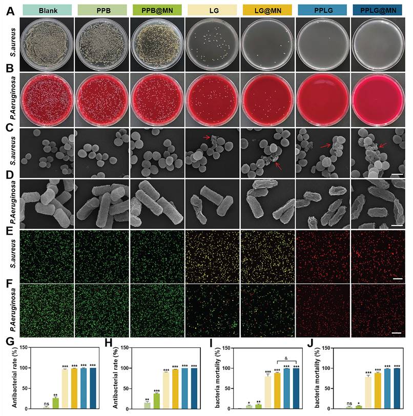 Theranostics Image