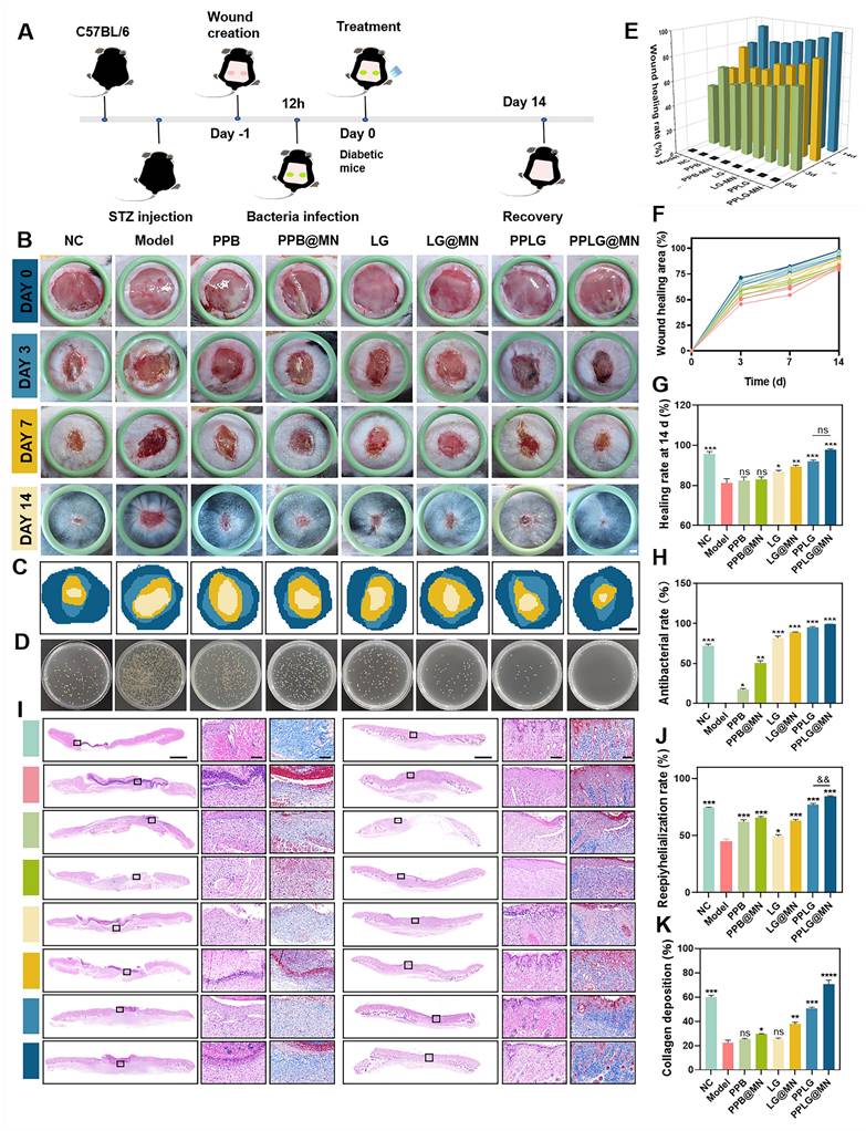 Theranostics Image